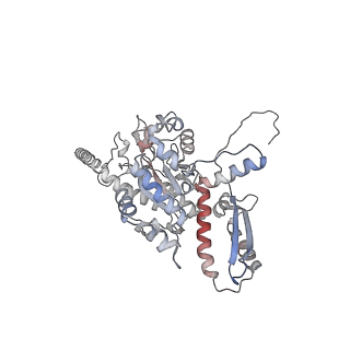 2699_3j9g_B_v1-2
Atomic model of the VipA/VipB, the type six secretion system contractile sheath of Vibrio cholerae from cryo-EM