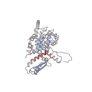 2699_3j9g_D_v1-2
Atomic model of the VipA/VipB, the type six secretion system contractile sheath of Vibrio cholerae from cryo-EM