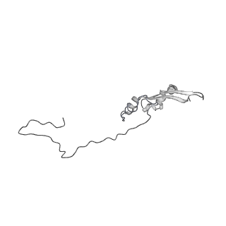 2699_3j9g_E_v1-2
Atomic model of the VipA/VipB, the type six secretion system contractile sheath of Vibrio cholerae from cryo-EM