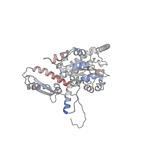 2699_3j9g_F_v1-1
Atomic model of the VipA/VipB, the type six secretion system contractile sheath of Vibrio cholerae from cryo-EM