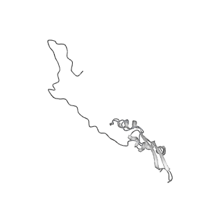 2699_3j9g_G_v1-2
Atomic model of the VipA/VipB, the type six secretion system contractile sheath of Vibrio cholerae from cryo-EM