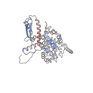 2699_3j9g_H_v1-1
Atomic model of the VipA/VipB, the type six secretion system contractile sheath of Vibrio cholerae from cryo-EM