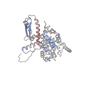 2699_3j9g_H_v1-2
Atomic model of the VipA/VipB, the type six secretion system contractile sheath of Vibrio cholerae from cryo-EM