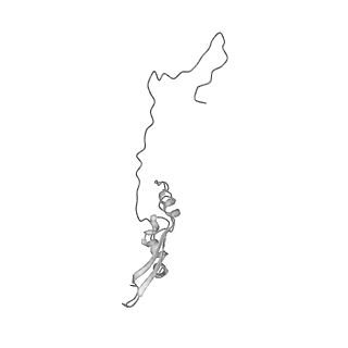 2699_3j9g_I_v1-2
Atomic model of the VipA/VipB, the type six secretion system contractile sheath of Vibrio cholerae from cryo-EM