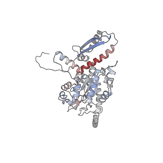 2699_3j9g_J_v1-1
Atomic model of the VipA/VipB, the type six secretion system contractile sheath of Vibrio cholerae from cryo-EM