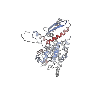 2699_3j9g_J_v1-2
Atomic model of the VipA/VipB, the type six secretion system contractile sheath of Vibrio cholerae from cryo-EM