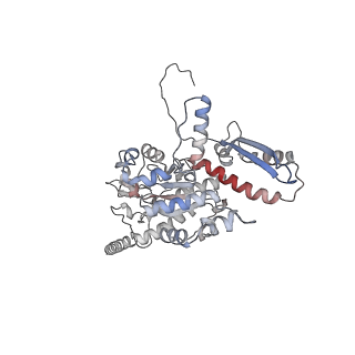 2699_3j9g_L_v1-1
Atomic model of the VipA/VipB, the type six secretion system contractile sheath of Vibrio cholerae from cryo-EM