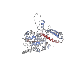 2699_3j9g_L_v1-2
Atomic model of the VipA/VipB, the type six secretion system contractile sheath of Vibrio cholerae from cryo-EM