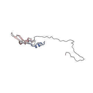 2699_3j9g_M_v1-1
Atomic model of the VipA/VipB, the type six secretion system contractile sheath of Vibrio cholerae from cryo-EM
