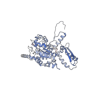 2699_3j9g_N_v1-1
Atomic model of the VipA/VipB, the type six secretion system contractile sheath of Vibrio cholerae from cryo-EM