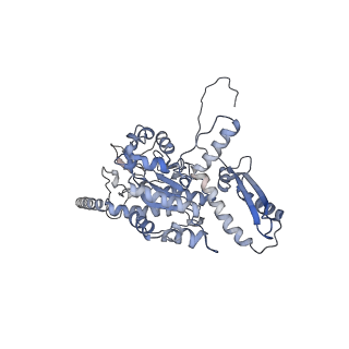 2699_3j9g_N_v1-2
Atomic model of the VipA/VipB, the type six secretion system contractile sheath of Vibrio cholerae from cryo-EM