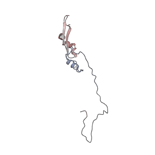 2699_3j9g_O_v1-1
Atomic model of the VipA/VipB, the type six secretion system contractile sheath of Vibrio cholerae from cryo-EM