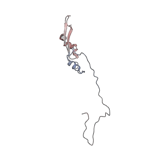 2699_3j9g_O_v1-2
Atomic model of the VipA/VipB, the type six secretion system contractile sheath of Vibrio cholerae from cryo-EM