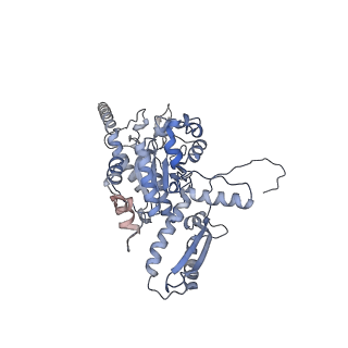 2699_3j9g_P_v1-1
Atomic model of the VipA/VipB, the type six secretion system contractile sheath of Vibrio cholerae from cryo-EM