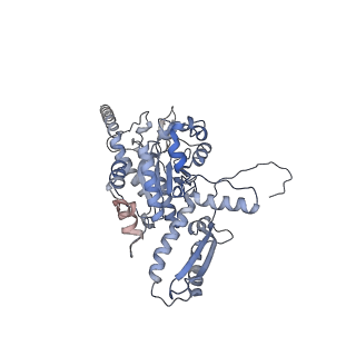 2699_3j9g_P_v1-2
Atomic model of the VipA/VipB, the type six secretion system contractile sheath of Vibrio cholerae from cryo-EM