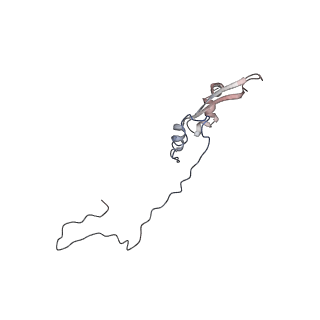 2699_3j9g_Q_v1-1
Atomic model of the VipA/VipB, the type six secretion system contractile sheath of Vibrio cholerae from cryo-EM
