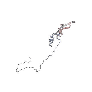 2699_3j9g_Q_v1-2
Atomic model of the VipA/VipB, the type six secretion system contractile sheath of Vibrio cholerae from cryo-EM