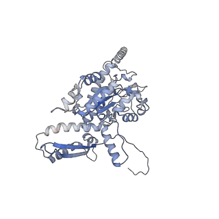 2699_3j9g_R_v1-1
Atomic model of the VipA/VipB, the type six secretion system contractile sheath of Vibrio cholerae from cryo-EM