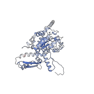 2699_3j9g_R_v1-2
Atomic model of the VipA/VipB, the type six secretion system contractile sheath of Vibrio cholerae from cryo-EM