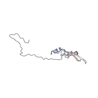 2699_3j9g_S_v1-1
Atomic model of the VipA/VipB, the type six secretion system contractile sheath of Vibrio cholerae from cryo-EM
