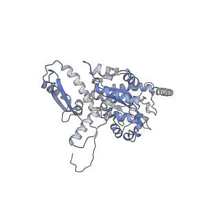 2699_3j9g_T_v1-1
Atomic model of the VipA/VipB, the type six secretion system contractile sheath of Vibrio cholerae from cryo-EM