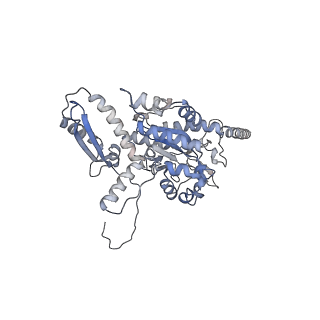 2699_3j9g_T_v1-2
Atomic model of the VipA/VipB, the type six secretion system contractile sheath of Vibrio cholerae from cryo-EM