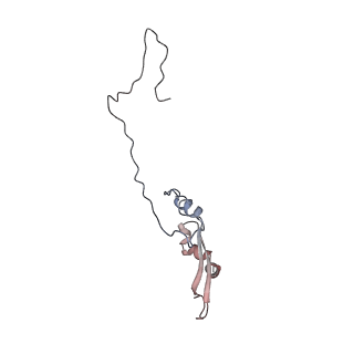 2699_3j9g_U_v1-1
Atomic model of the VipA/VipB, the type six secretion system contractile sheath of Vibrio cholerae from cryo-EM