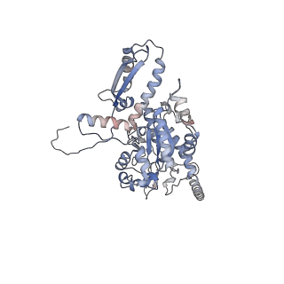2699_3j9g_V_v1-1
Atomic model of the VipA/VipB, the type six secretion system contractile sheath of Vibrio cholerae from cryo-EM