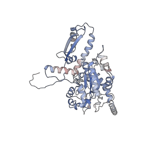 2699_3j9g_V_v1-2
Atomic model of the VipA/VipB, the type six secretion system contractile sheath of Vibrio cholerae from cryo-EM