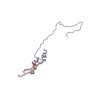 2699_3j9g_W_v1-2
Atomic model of the VipA/VipB, the type six secretion system contractile sheath of Vibrio cholerae from cryo-EM