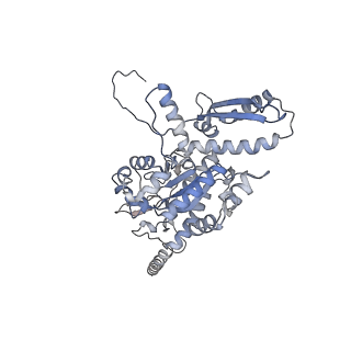 2699_3j9g_X_v1-1
Atomic model of the VipA/VipB, the type six secretion system contractile sheath of Vibrio cholerae from cryo-EM