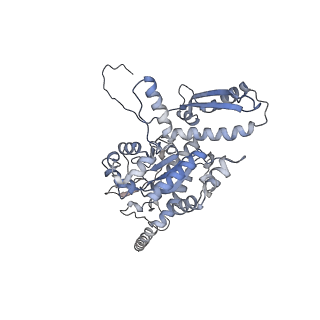 2699_3j9g_X_v1-2
Atomic model of the VipA/VipB, the type six secretion system contractile sheath of Vibrio cholerae from cryo-EM