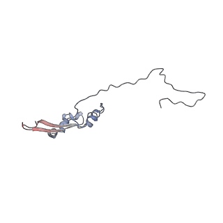 2699_3j9g_Y_v1-1
Atomic model of the VipA/VipB, the type six secretion system contractile sheath of Vibrio cholerae from cryo-EM