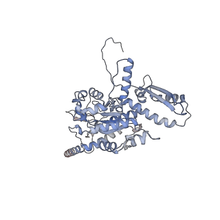 2699_3j9g_Z_v1-1
Atomic model of the VipA/VipB, the type six secretion system contractile sheath of Vibrio cholerae from cryo-EM