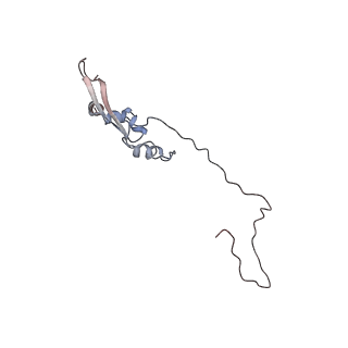 2699_3j9g_a_v1-1
Atomic model of the VipA/VipB, the type six secretion system contractile sheath of Vibrio cholerae from cryo-EM