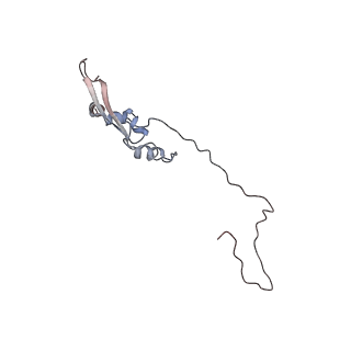 2699_3j9g_a_v1-2
Atomic model of the VipA/VipB, the type six secretion system contractile sheath of Vibrio cholerae from cryo-EM