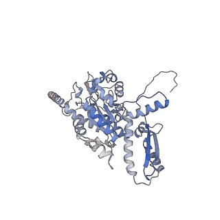 2699_3j9g_b_v1-1
Atomic model of the VipA/VipB, the type six secretion system contractile sheath of Vibrio cholerae from cryo-EM