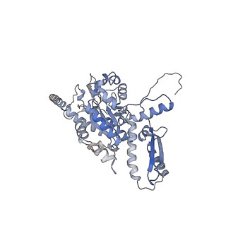 2699_3j9g_b_v1-2
Atomic model of the VipA/VipB, the type six secretion system contractile sheath of Vibrio cholerae from cryo-EM