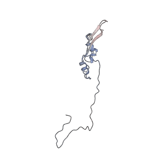 2699_3j9g_c_v1-1
Atomic model of the VipA/VipB, the type six secretion system contractile sheath of Vibrio cholerae from cryo-EM