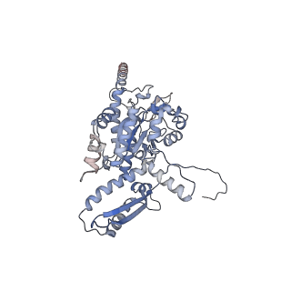2699_3j9g_d_v1-2
Atomic model of the VipA/VipB, the type six secretion system contractile sheath of Vibrio cholerae from cryo-EM