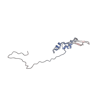 2699_3j9g_e_v1-2
Atomic model of the VipA/VipB, the type six secretion system contractile sheath of Vibrio cholerae from cryo-EM