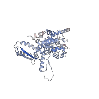 2699_3j9g_f_v1-1
Atomic model of the VipA/VipB, the type six secretion system contractile sheath of Vibrio cholerae from cryo-EM