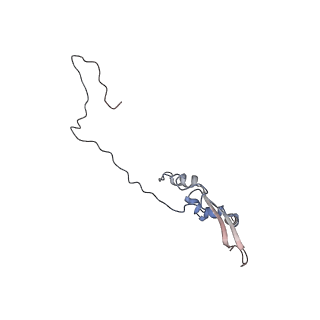 2699_3j9g_g_v1-1
Atomic model of the VipA/VipB, the type six secretion system contractile sheath of Vibrio cholerae from cryo-EM