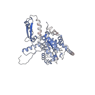 2699_3j9g_h_v1-1
Atomic model of the VipA/VipB, the type six secretion system contractile sheath of Vibrio cholerae from cryo-EM