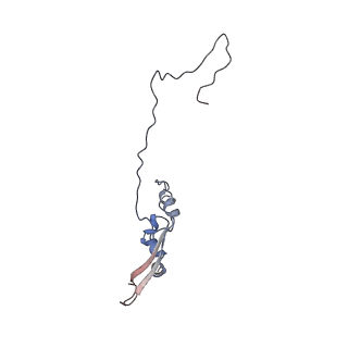 2699_3j9g_i_v1-1
Atomic model of the VipA/VipB, the type six secretion system contractile sheath of Vibrio cholerae from cryo-EM