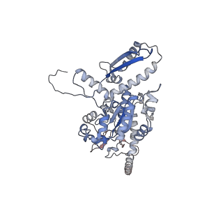 2699_3j9g_j_v1-1
Atomic model of the VipA/VipB, the type six secretion system contractile sheath of Vibrio cholerae from cryo-EM