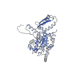 2699_3j9g_j_v1-2
Atomic model of the VipA/VipB, the type six secretion system contractile sheath of Vibrio cholerae from cryo-EM