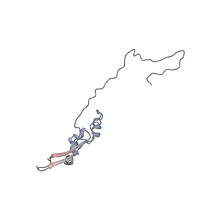 2699_3j9g_k_v1-1
Atomic model of the VipA/VipB, the type six secretion system contractile sheath of Vibrio cholerae from cryo-EM
