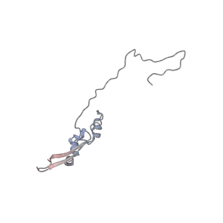 2699_3j9g_k_v1-2
Atomic model of the VipA/VipB, the type six secretion system contractile sheath of Vibrio cholerae from cryo-EM