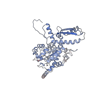 2699_3j9g_l_v1-1
Atomic model of the VipA/VipB, the type six secretion system contractile sheath of Vibrio cholerae from cryo-EM